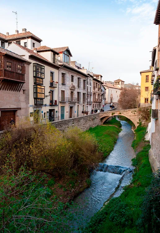 visita-cultural-guiada-granada